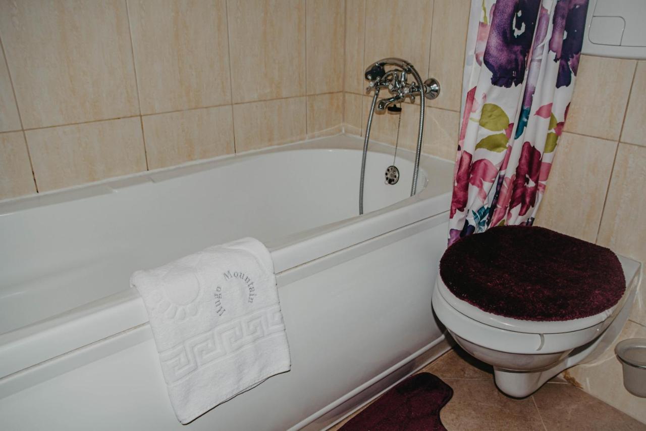Appartement Hugo Mountain à Sinaia Extérieur photo
